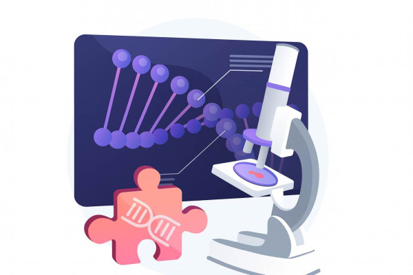 Podstawowe narzędzia analityki internetowej: od czego zacząć?